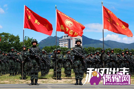 《利刃出击》强势定档 杨烁牟星青春热血显武警雄风
