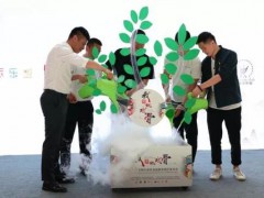 火热六月，点燃梦想     ——2018芒果小戏骨全国竞演6月上旬精彩回顾