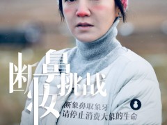 阿雅小S发起断鼻妆公益挑战 众星接力再现“冰桶”盛况