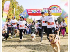 RedDog红狗冠名人宠彩跑，红狗杯上海站炫彩开跑