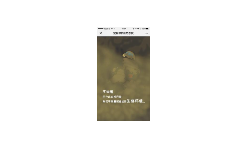 大自然家居阿拉善沙漠之旅，从定制您的自然态度开始