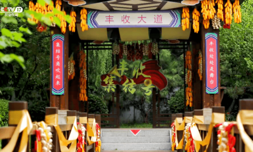 南北名厨隔屏挑战！“丰晚我来啦”直播探秘《丰收集结号》